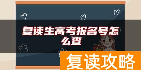 复读生高考报名号怎么查